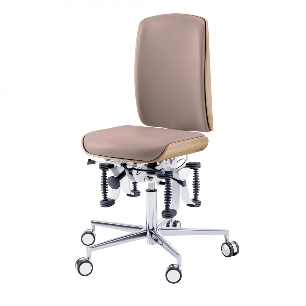 430-fot-pro-1032423-01-sall-ain-h-1920x1920-stolicka-bioswing-dub-taupe-potah.jpg
