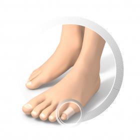 7311311-02.jpg